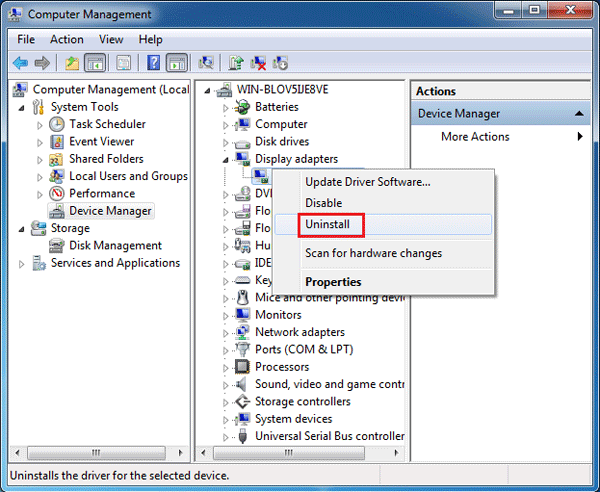 uninstall display adapter driver
