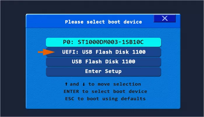 select to boot from USB