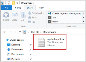 choose the files that you want to hide