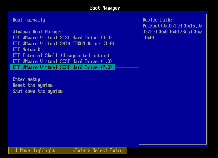 boot from the bootable usb device