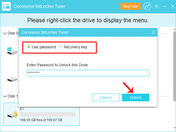 bitlocker remove password