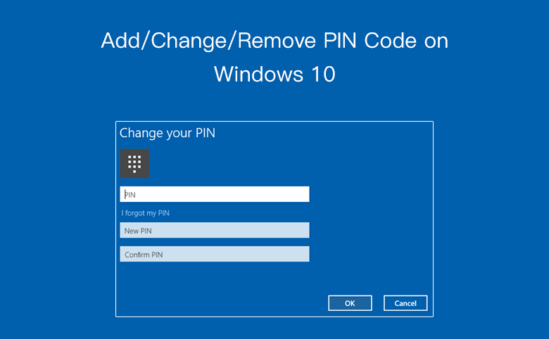 pin not working windows 10