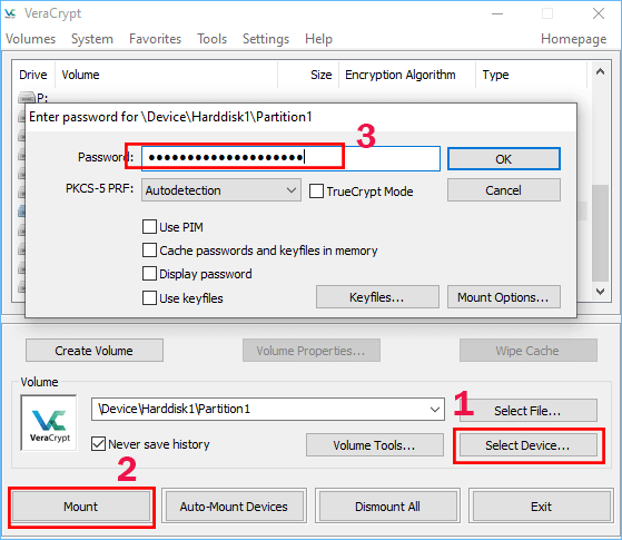 mount encrypted USB