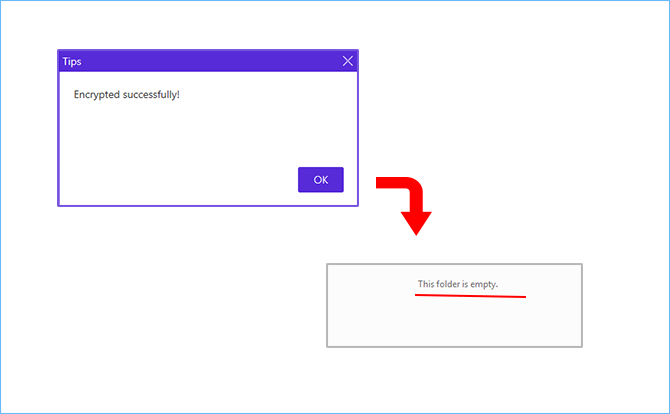 the USB encrypted successfully via USB Lock Tuner