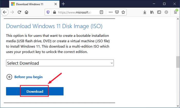 download windows 11 disk image