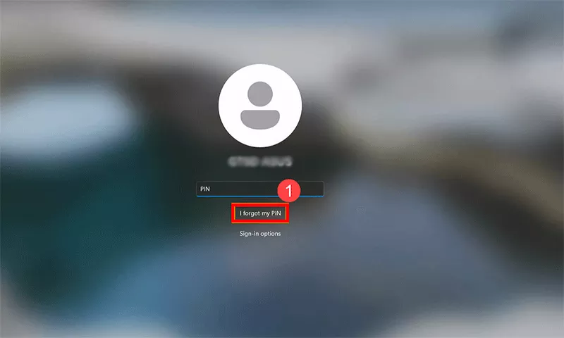click I forgot my PIN
