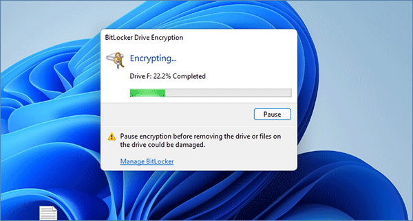 BitLocker encrypting the pen drive