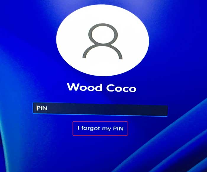 I Forgot My PIN for Windows 11 How to Reset?