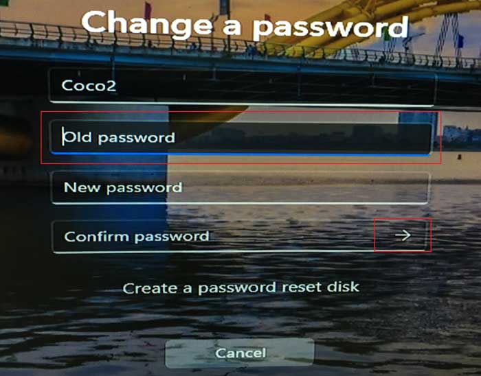 change password to blank