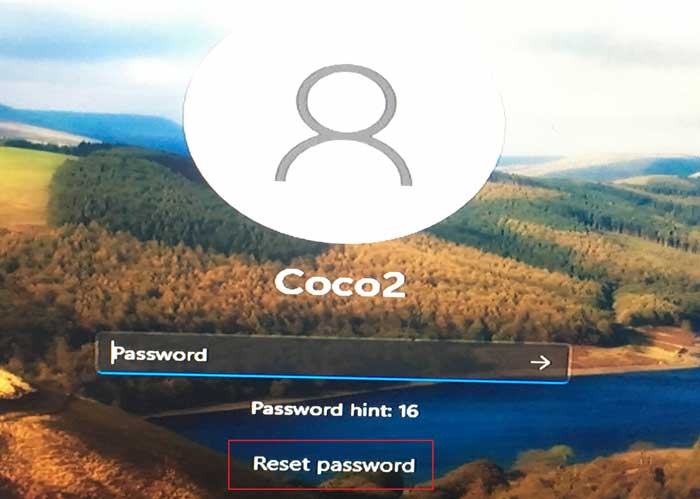 click on reset password