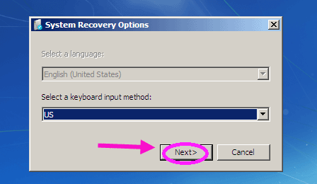 system recovery option