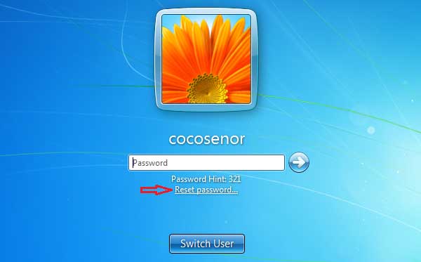 remove password with reset disk