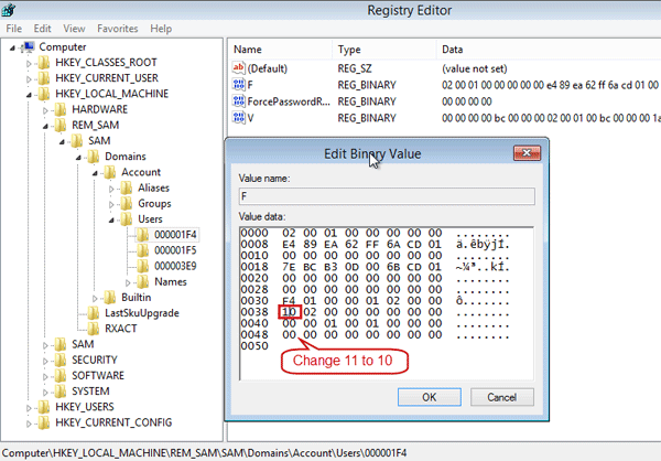 edit binary value