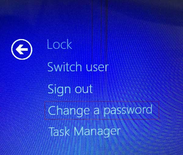 bypass windows 8.1 password