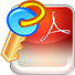 PDF icon