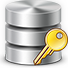 SQL icon