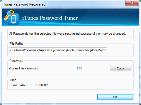 iTunes password tuner