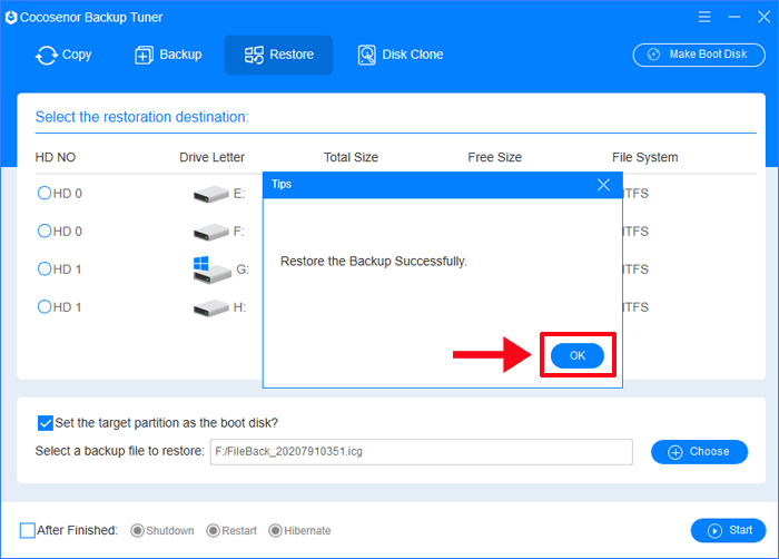 restore the backup successfully