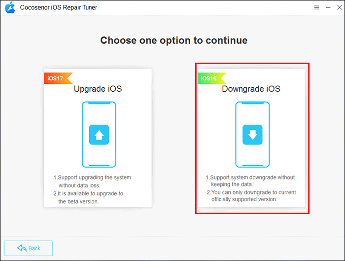 choose Downgrade iOS