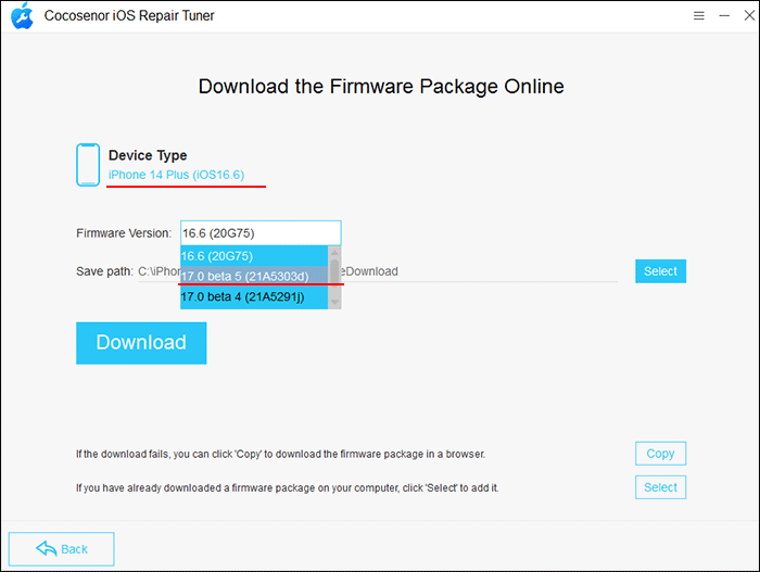 choose firmware version