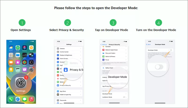 turn on developer mode in Settings